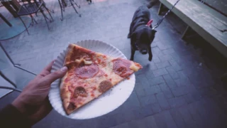 My Sweet Boosted Board – Pushing North 45