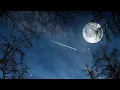 Download Lagu Pemandangan langit malam yang luar biasa indah