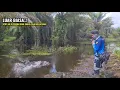Download Lagu MUDAH NYA MANCING IKAN GABUS SAAT AIR MULAI SURUT || CASTING IKAN GABUS DI SPOT INTI