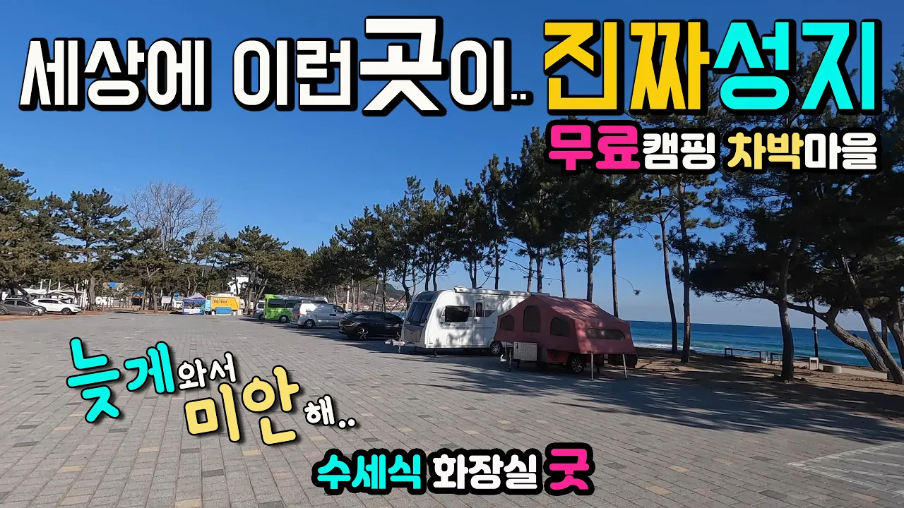 영덕 장사해수욕장♦️ 동계 시즌 무료전환♦️ 무료 캠핑 차박 캠핑카여행 천혜의 송림해변 성지라는 소문을 외면하다 맘먹고 찾아간 곳, 국내여행지,  차박노지 탐방. サムネイル