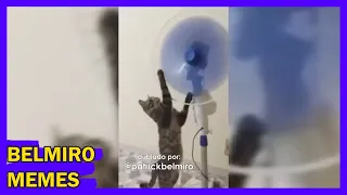 Belmiro Memes: Melhores dublagens engraçadas da semana 124