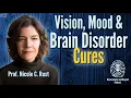 From Pixels to Perception Vision Memory Mood and Brain Disease Cures Prof Nicole Rust