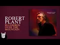 Robert Plant - Bluebirds Over The Mountain