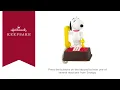 Hello Snoopy - QXI8722