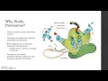 Intro to Proteomics