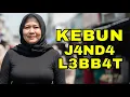 Download Lagu KISAH NYATA !! MENANAM TERONG DI KEBUN IBU JANDA