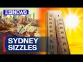 Sydney sizzles through rare spring day of scorching temperatures 9 News Australia