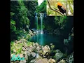 Download Lagu 1 Minute nature sounds meditation