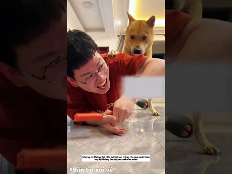Bên trong nhà tắm cùng con chó