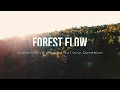 Forest Music to Breathe With｜4K｜ADAGIO Cello & Bass Clarinet｜1 Hour Deep Relaxation & Healing