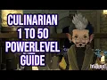 FFXIV 2 55 0588 Culinarian 1-50 Powerlevel Guide