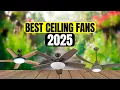 The 4 Best Ceiling Fans to Buy in 2025