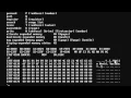 Introduction to x86 Assembly DOS
