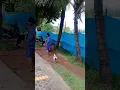 Download Lagu Kejadian di pasar Ahpoong, Orang gila VS ayam Jago