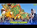 Download Lagu PENGEN DI KAWIN -Voc. ELIZA HENDRA | SINGA DEPOK PUTRA PAI MUDA | GABUS KULON - GABUS WETAN IM.