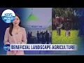 Download Lagu Beneficial Landscape agriculture (News Today) l KBS WORLD TV 210512