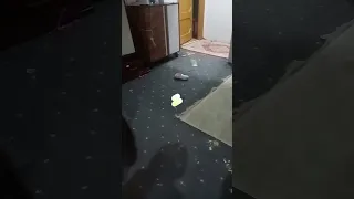 ٥ أغسطس ٢٠٢٤ دندنها