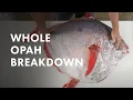 Lagu MASSIVE Opah butchery and breakdown