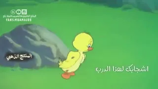 اغنية قلب قلب اش جابك لهذا الدرب روعة 