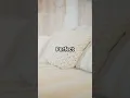 DIY Dried Flower Wall Art in 1 Minute Easy Boho-Chic Home Decor Idea