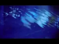 Bad Gyal - Otra Vez Más (Visualizer)