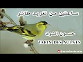 ساعتين من تغريد طائر حسون الشوك   الطرنجان   النعاري خالي من الأخطاء