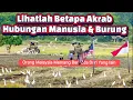 Download Lagu ORANG MALAYSIA🇲🇾 TIDAK MEMBURU BURUNG LIAR MASIH BANYAK DAN TIDAK TERUSIK OLEH MANUSIA(MASHA ALLAH)