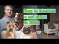 The best side hustle to start in 2025 Pet sitting