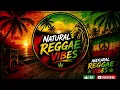 Young lover - Cocoa Tea (Bass boosted) NATURAL REGGAE VIBES | 