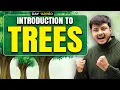 Introduction To Trees Binary Tree in Data Structure