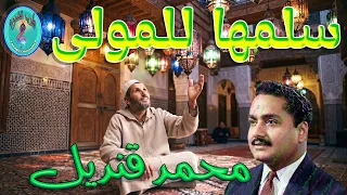 محمد قنديل   سلمها للمولى دندنها