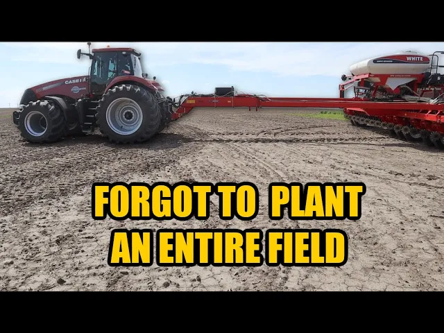 Download MP3 I FORGOT TO PLANT A FIELD