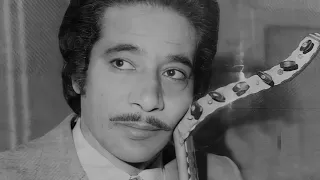محمد الموجي   احضان الحبايب دندنها