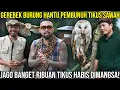 Download Lagu GEREBEK BURUNG HANTU PEMBUNUH TIKUS SAWAH || JAGO BANGET RIBUAN TIKUS HABIS DIMANGSA!