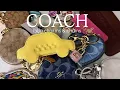 My COACH collection bag charms chains series 3