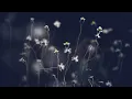 Lane 8 feat. Rae Morris - No Fun