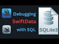 Debugging CoreData SwiftData with SQL A Practical Guide