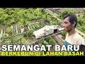 SEMANGAT BERKEBUN PAK EKO, PERANTAU ASAL SUMATERA DI LAHAN TRANSMIGRASI SEPUNGGUR KALIMANTAN UTARA
