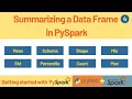 Summarizing a DataFrame in PySpark min max count percentile schema