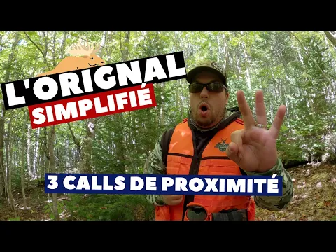Download MP3 Orignal simplifié: 3 appels de proximité! call orignal démontré en forêt   | Chasse Orignal 2020