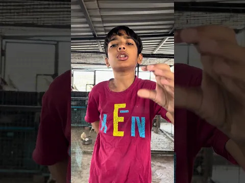 Trap karke fancy kabutar pakad liya talha ne 12 lakh wala 😂😂😂 | Talha Ali Vlogs