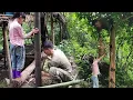Download Lagu Duyen and Hoang went up the mountain to repair the farm and get wild fire fruit to sell.