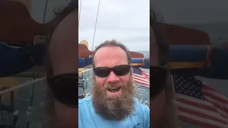 So Many Boats!