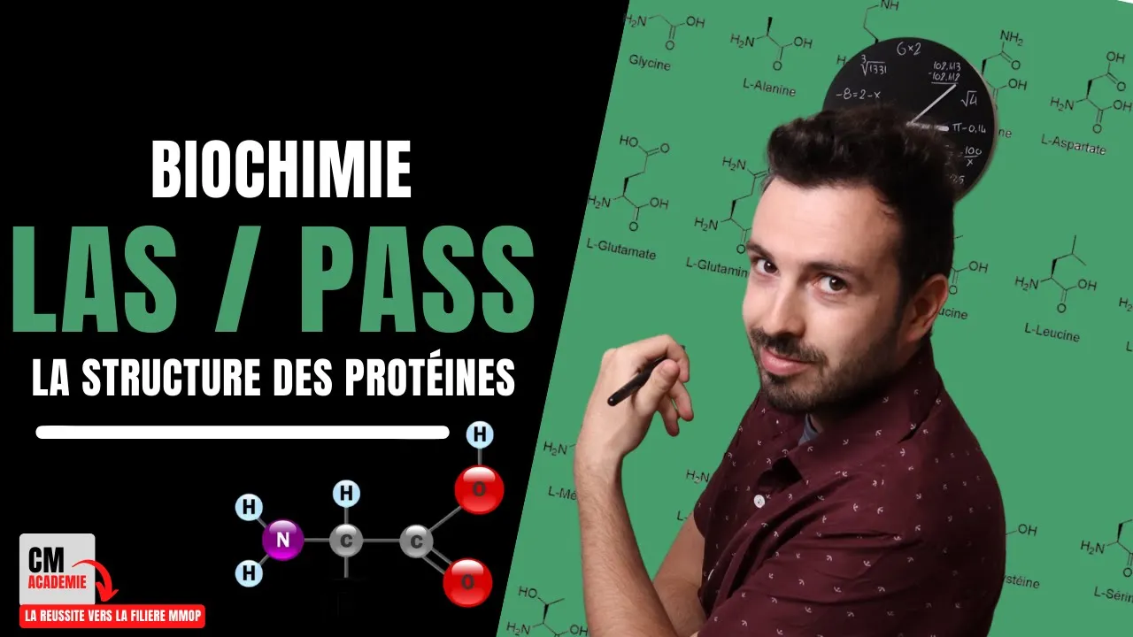 La Structure des PROTEINES : 🧬Primaire, Secondaire, Tertiaire, Quaternaire (hélice, feuillet, plan)