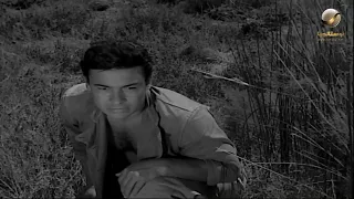 حسن هيتجنن ويعرف مكان بطن الزير   ابن حميدو دندنها