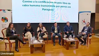 Camino a la certificación de país libre de rabia humana transmitida por perros en Paraguay