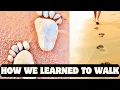 The Amazing Story of Human Walk Australopithecus Genus