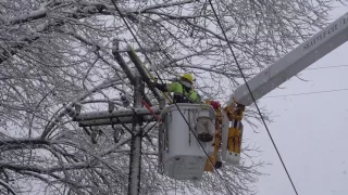 Seattle City Light Crews Tackle Snowstorm Power Outages