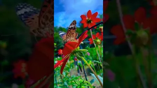 ROZAVIN Вдалині за селом Official Audio 