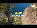 DJ CALMA SLOW KANE VIRAL TIKTOK